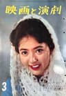 鰐淵晴子に似てるAV女優